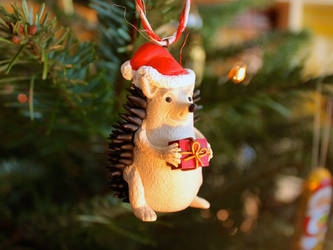 Christmas Hedgehog