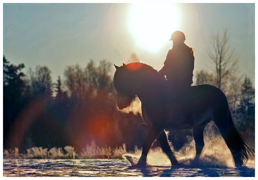 cold winter morning II