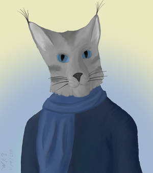 Cat in Winter Clothes