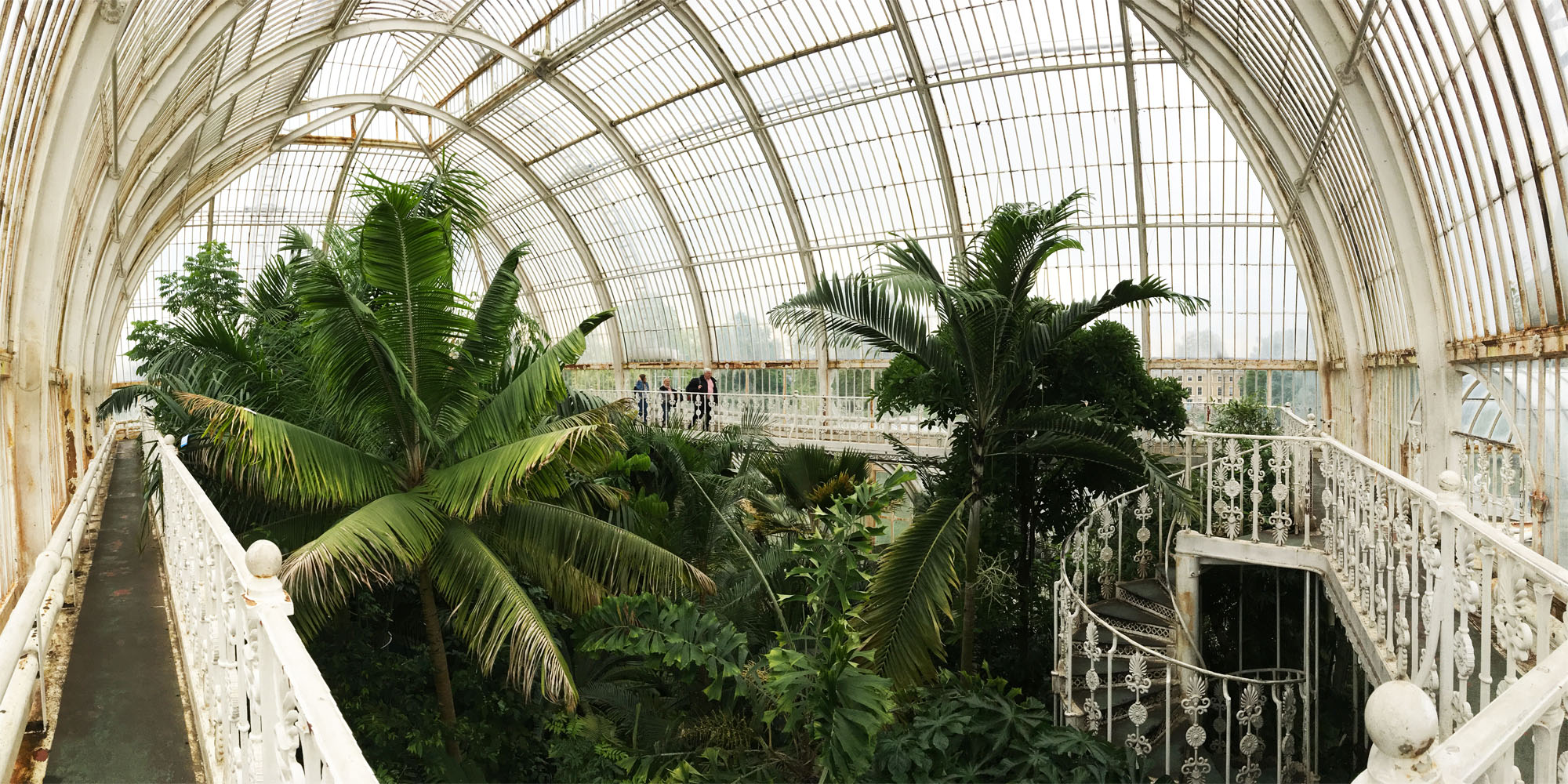 Kew Gardens 3