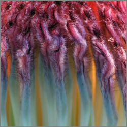 Brainwaves 1