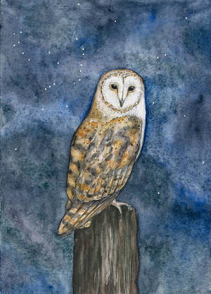 Nightwatch by DundalkChild Nightwatch by DundalkChild