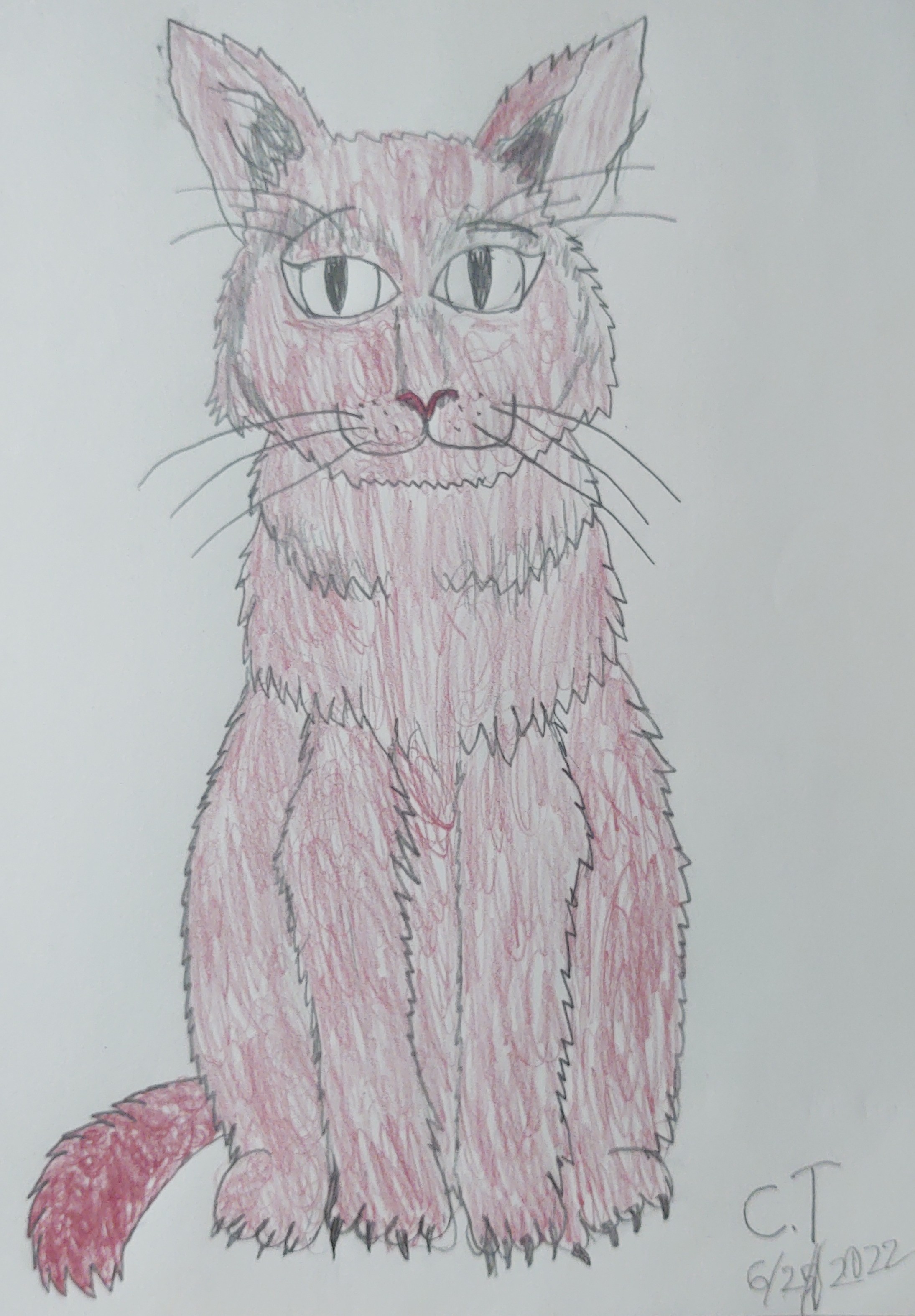 Red cat redraw. by C0MMD3R on DeviantArt