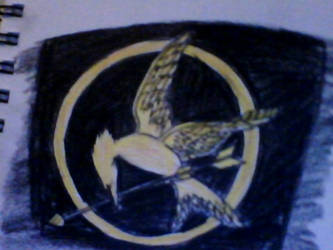 The Hunger Games Pin