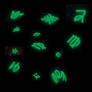 CANON FANTROLL SYMBOLS IN THE UPD8