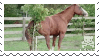 Mlp Deviantart Stamp MLP Fan Stamp by anorexic-animations on DeviantArt