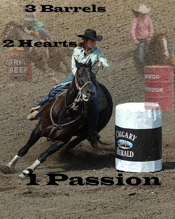 Barrel Racing by shiveringsoul11 on DeviantArt