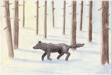 Wolf Running2