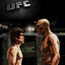 Bruce VS Silva