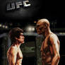 Bruce VS Silva