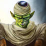 Piccolo