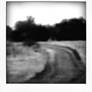 Poladroid Roads 01