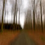 We Walk Through The Woods