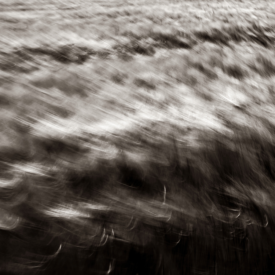 The Wind That Shook The Barley