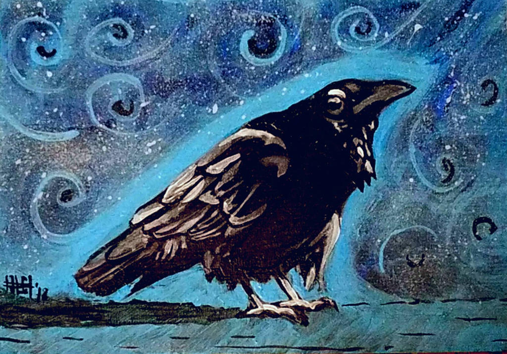 crow by SaintButtocks on DeviantArt