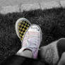 converse vs. vans