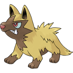 #0261 Shiny Poochyena