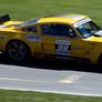 Mustang in Race