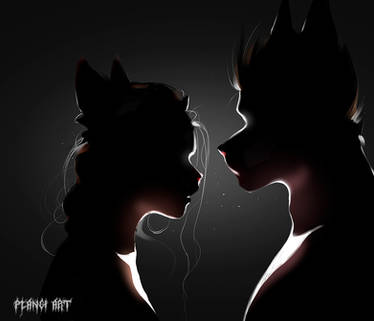 Furry couple in the dark