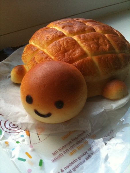 My Bread Turtle