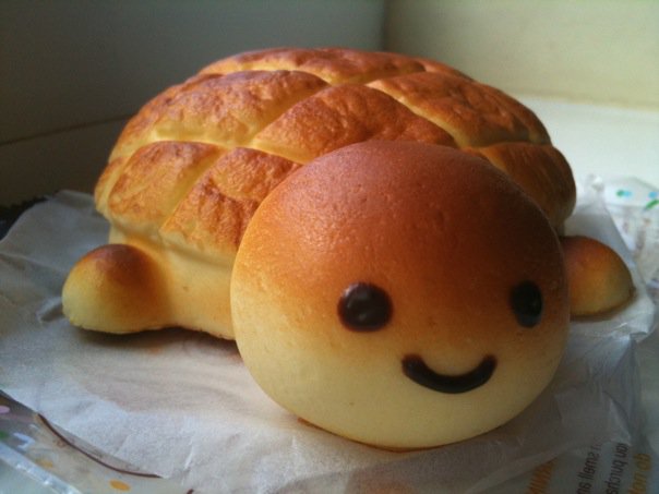 Inbread Turtle My Bread Turtle 2 by ChaZie47 on DeviantArt
