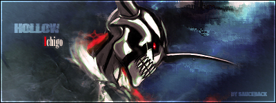 ichigo hollow signature