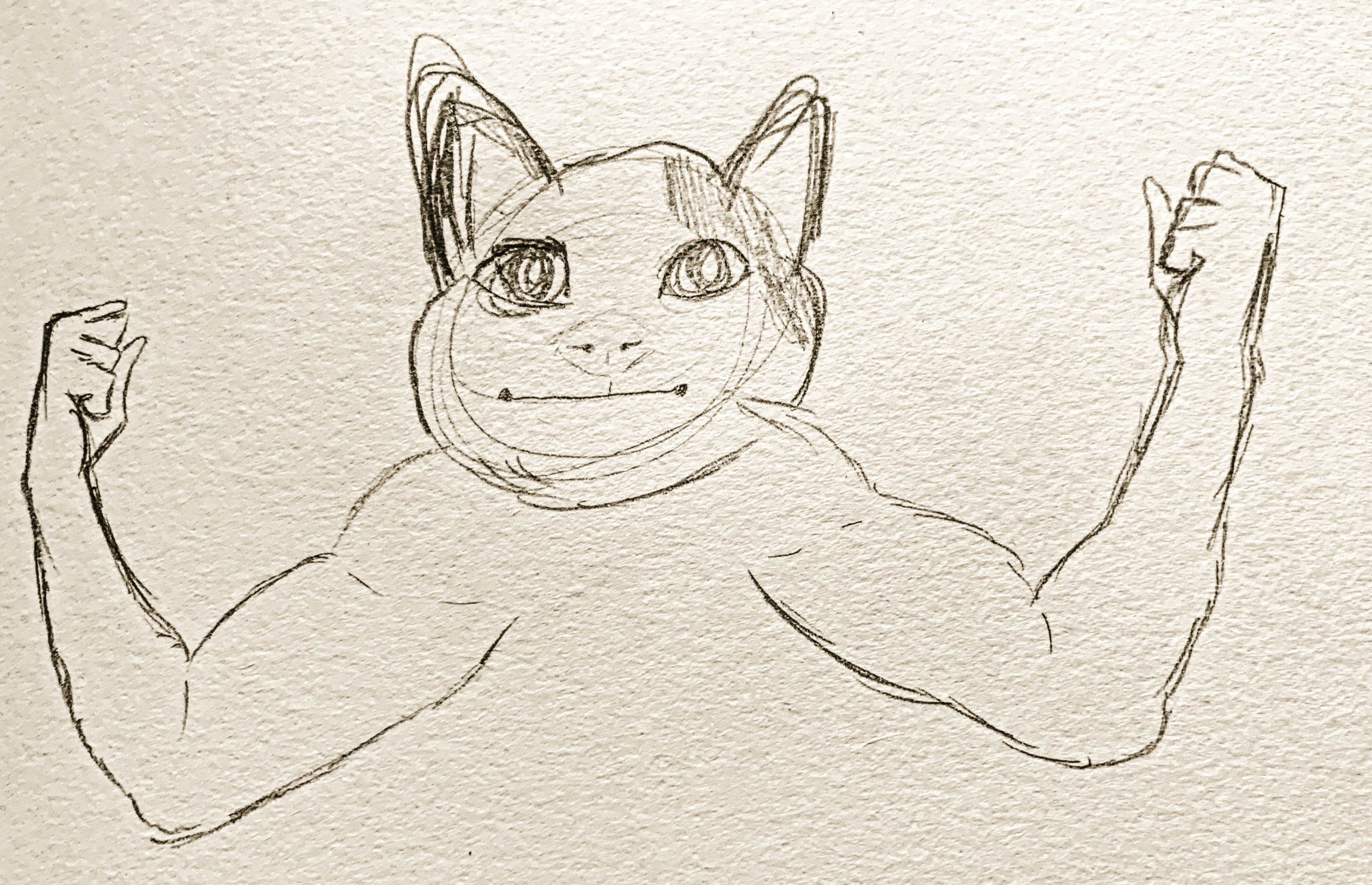 Beluga The Cat. : r/drawing
