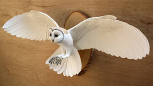 handmade paper and wood wall mounted owl sculpture