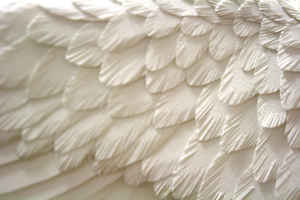 Paper feathers by ZackMclaughlin