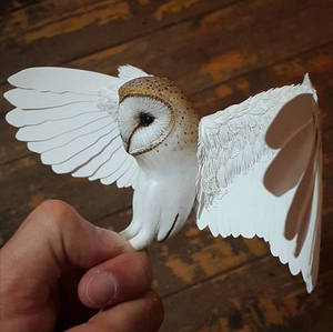 Paper and wood mini barn owl is coming together...