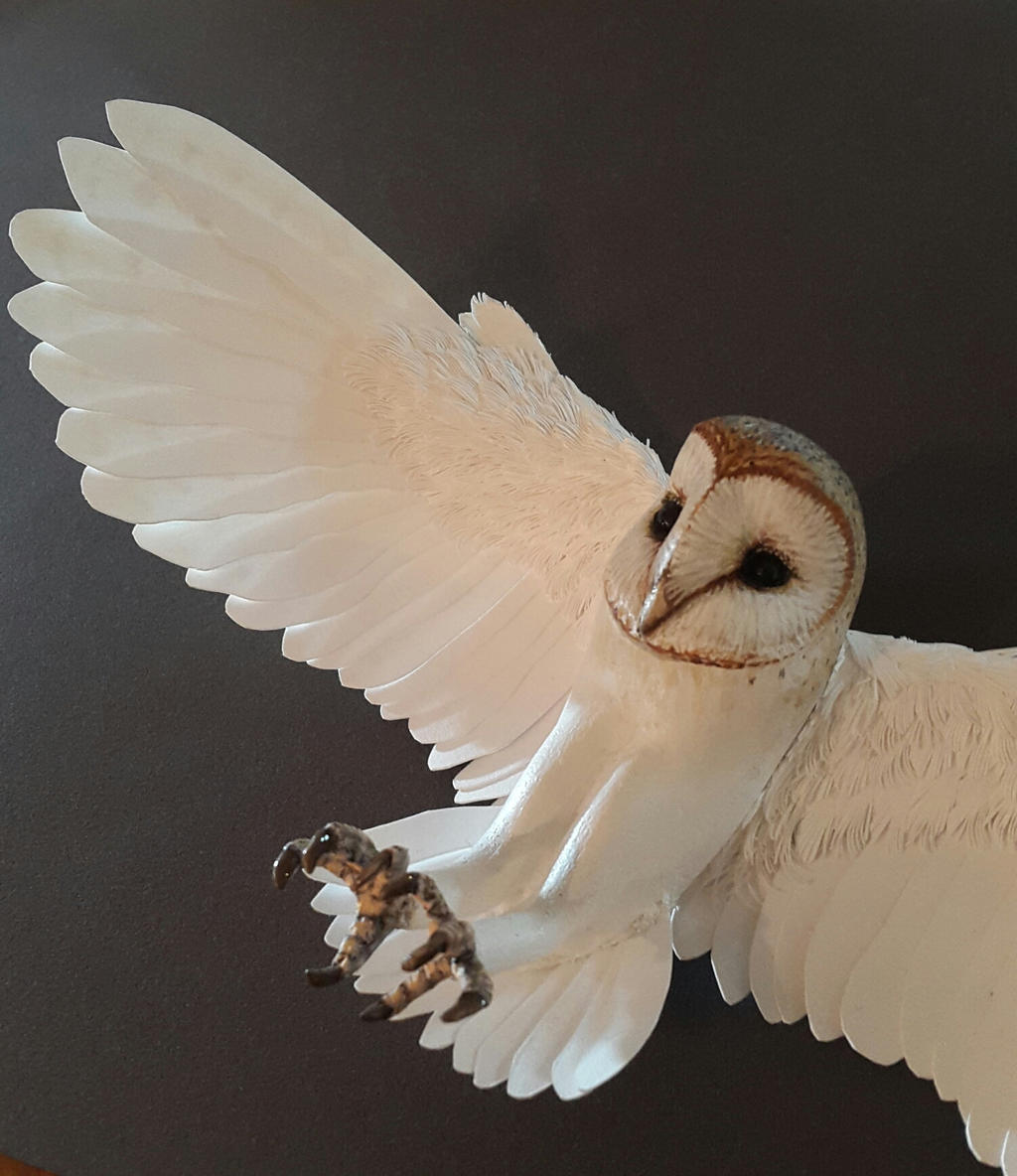 Paper And Wood Barn Owl Little Feet By Zackmclaughlin On Deviantart
