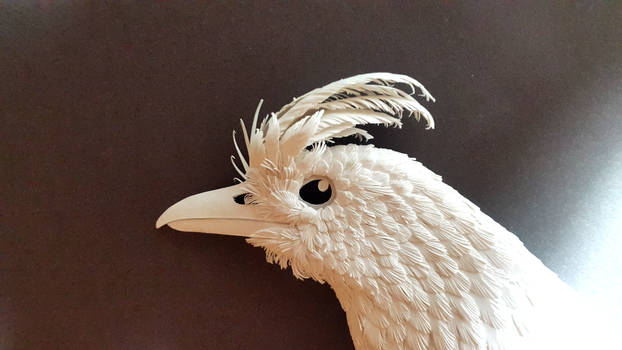 Resplendant paper Bird