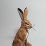 Paper cut Hare sculpture