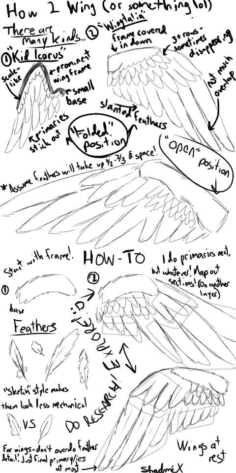 Wing Guide by ShadmeTheAngel on DeviantArt