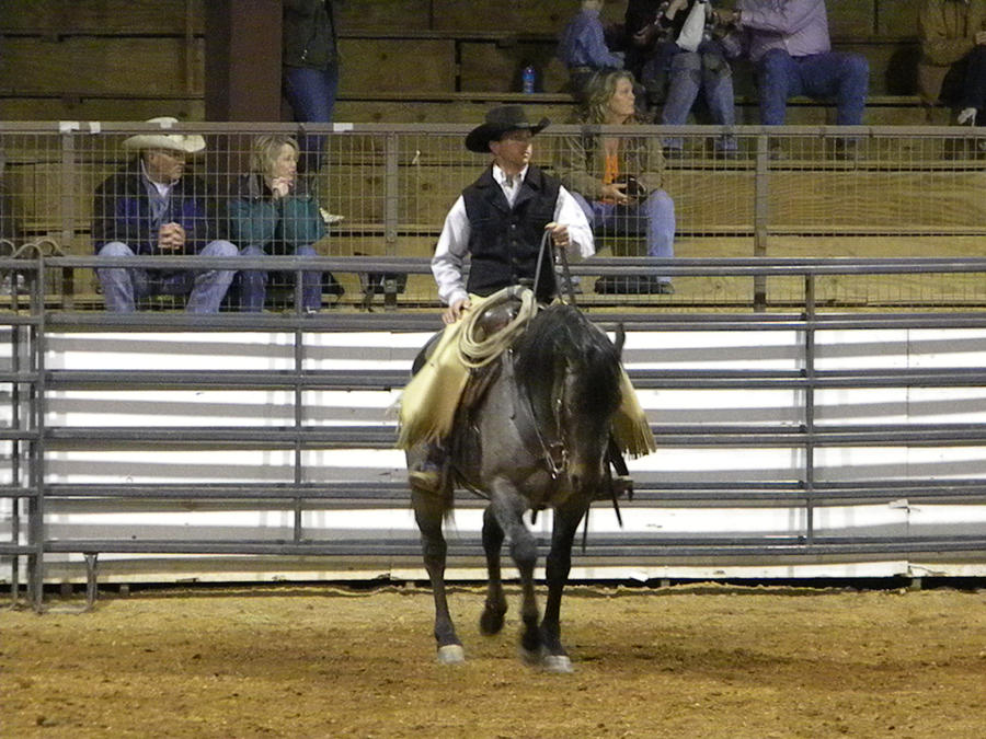 Rodeo by PrisonOfMyMind on DeviantArt