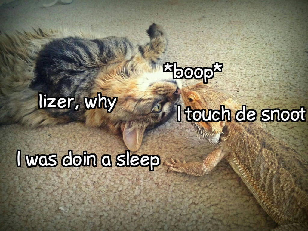 Slizzered lizer why by SamandJared420 on DeviantArt