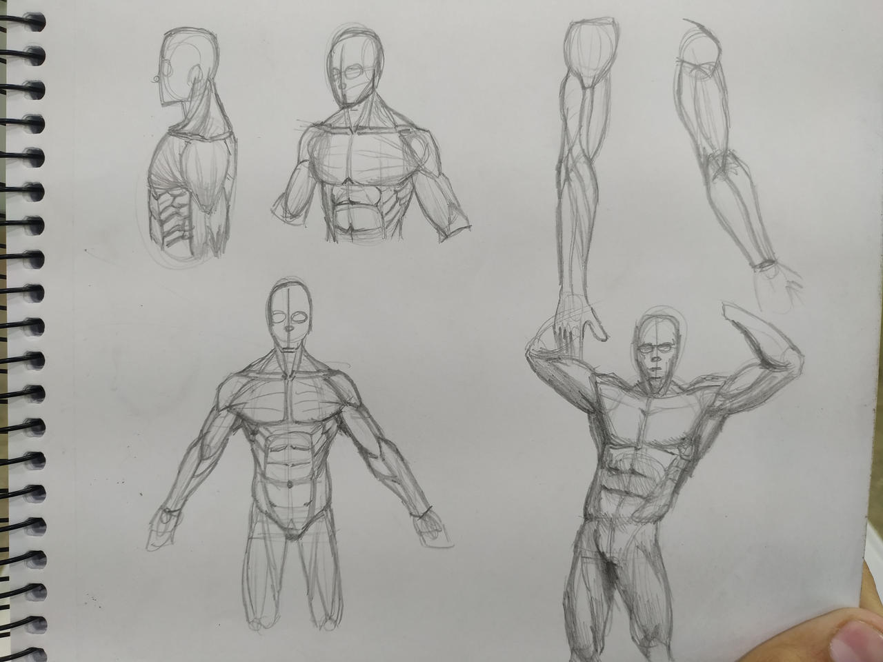 Anatomy Practice By Edraof On Deviantart Anatomy Practice By Edraof On Deviantart