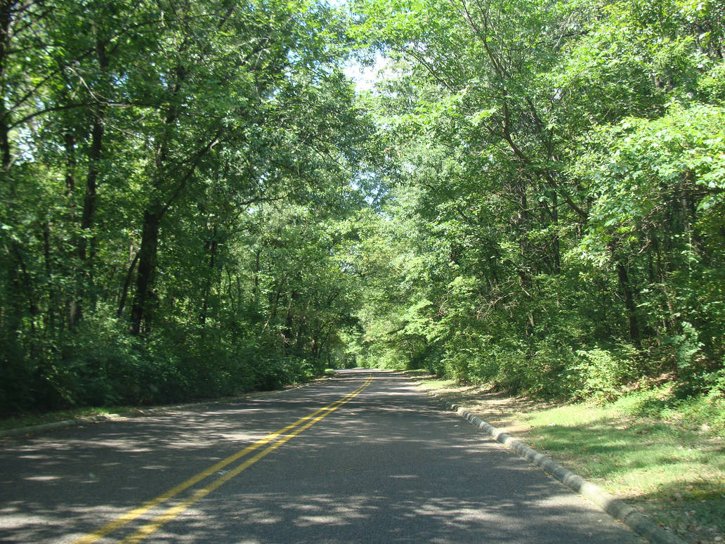 Pretty Road Split Pretty road 1 by April--R on DeviantArt
