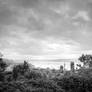Rooftops I