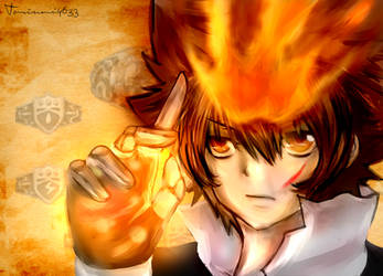 Tsuna Katekyo Hitman Reborn