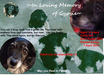 In Loving Memory of Gypsie by GaaraxHinata6666