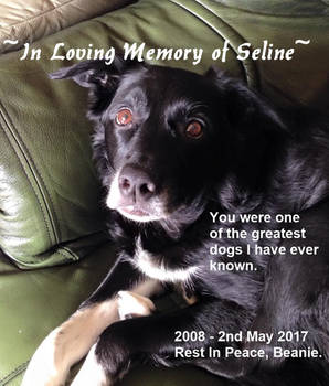 In Loving Memory of Seline