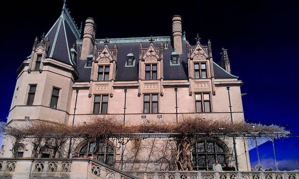 The Biltmore House