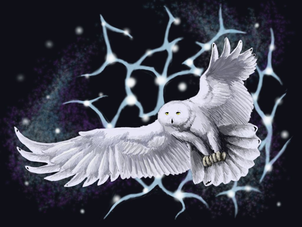 Spirit owl