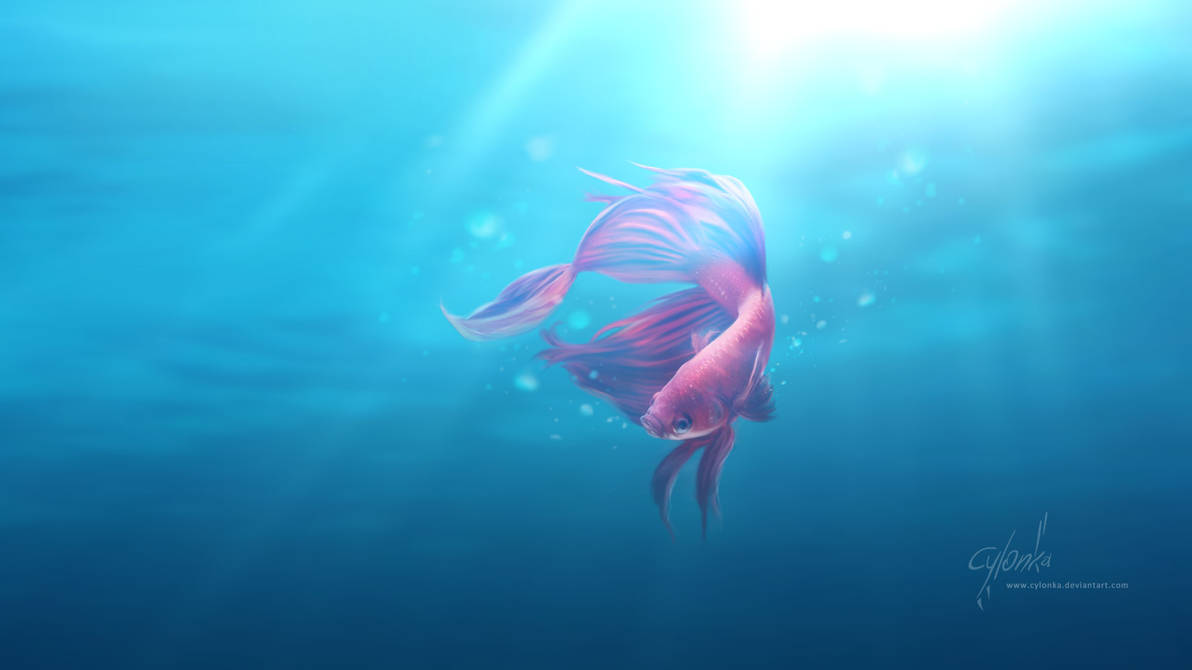A desktop fish - wallpaper by cylonka on DeviantArt