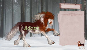 AUCTION Horse adopt (closed)