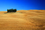 Background 6 by Not4Lovers