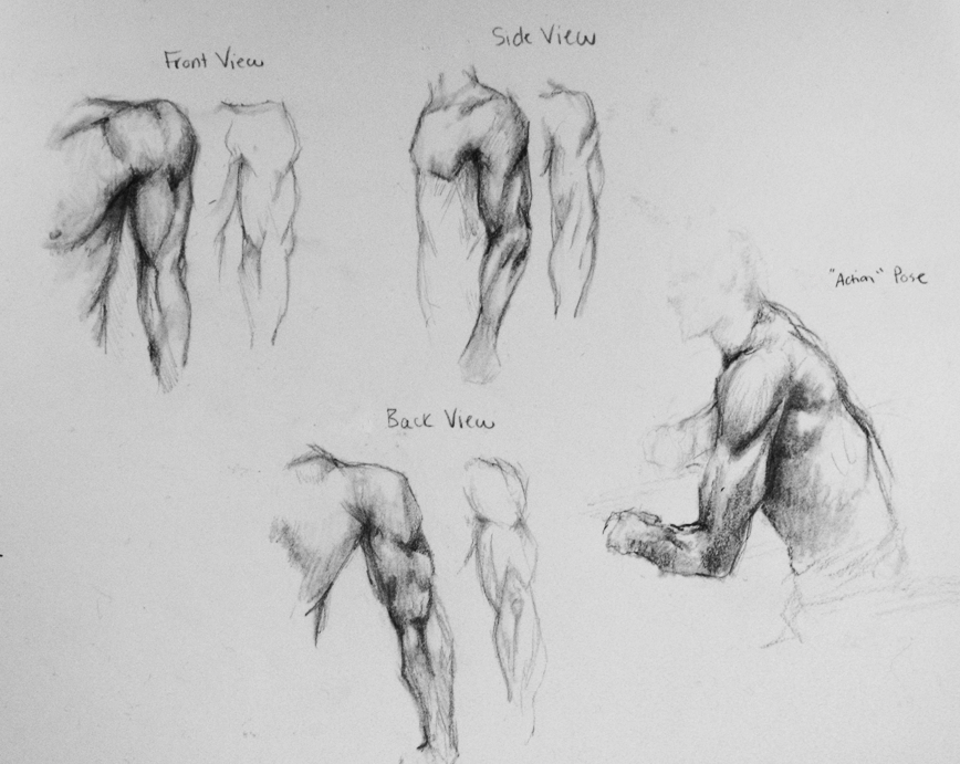 Side Arm Rdrawing Muscular Arm Side Drawing