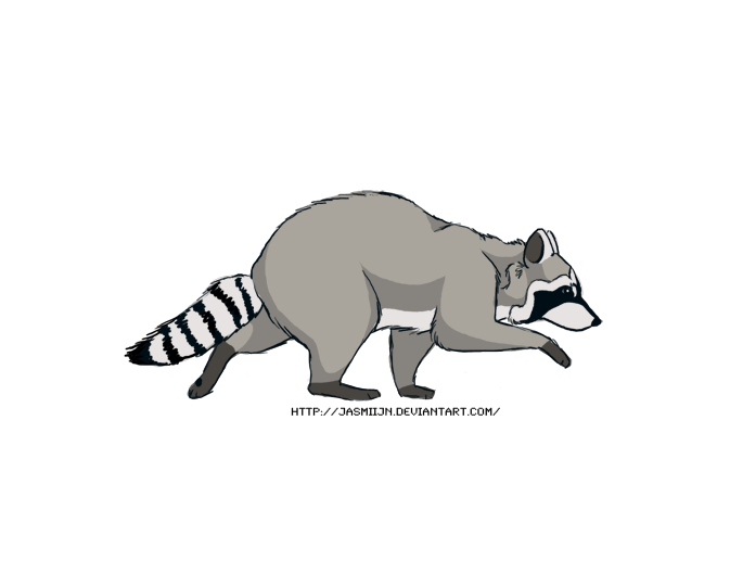 Raccoon Animation by Jasmiijn on DeviantArt