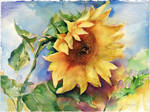 Sunflower with bumblebee by OlgaSternik
